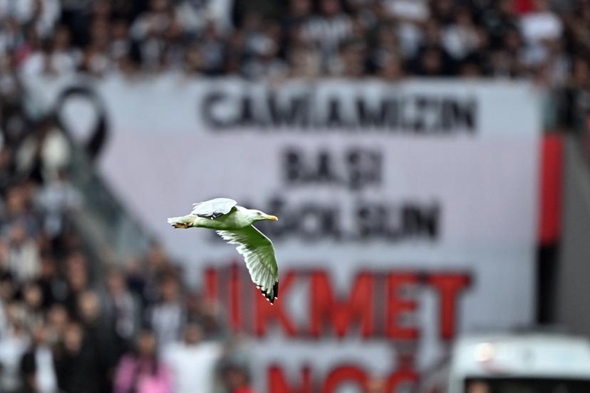 Beşiktaş - Samsunspor maçında davetsiz misafir