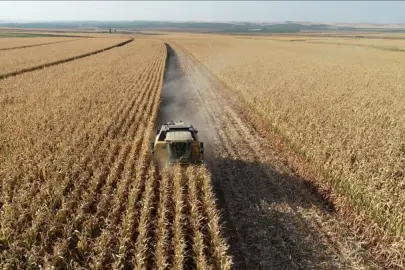 Organik tarım üretimi 1,3 milyon tonu geçti