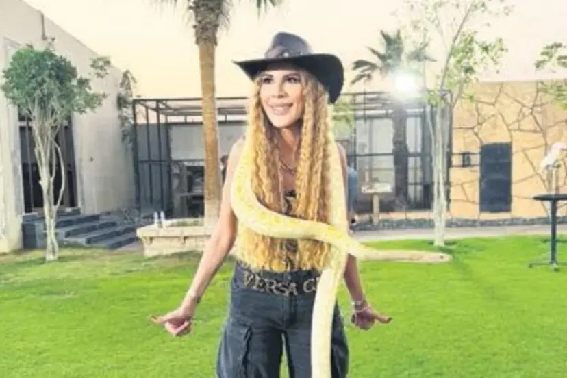 Tasmayla aslan gezdirdi yılanı boynuna doladı