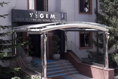 TİGEM safkan 14 Arap kısrağı satacak