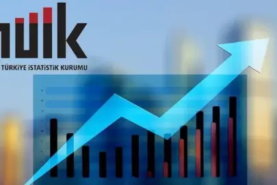 TÜİK çalışanlarından uluslararası başarı