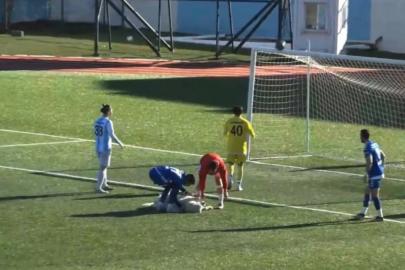 Tunceli'de sahaya giren köpek kale önünde uyudu