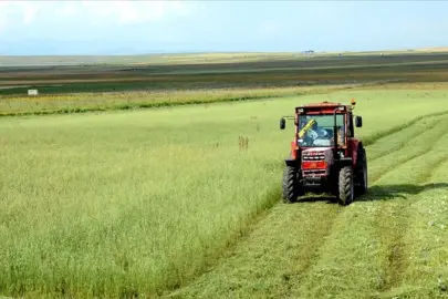 TÜİK açıkladı: Tarımsal Girdi Fiyat Endeksi kasımda arttı