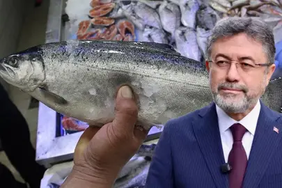 Türk somonu ihracatı 500 milyon dolara ulaştı