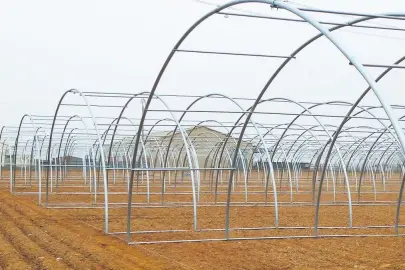 Yılda 9 milyon tonluk üretim yapılıyor