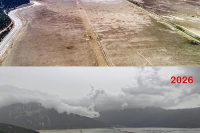 Hayvanların otladığı Avlan Gölü'nde su sevinci