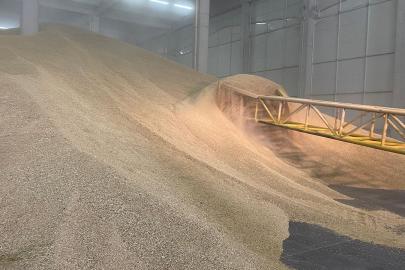 TMO, stoklarındaki buğdayı satışa sundu