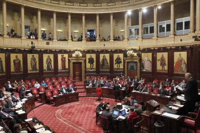 Belçika'da Senato'nun ilga edilmesine yönelik ilk adım atıldı