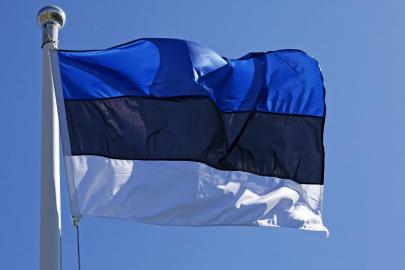 Estonya'ya Rus hava sahasından giren dron elektrik santraline çarptı