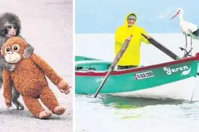 Ruh halimiz nereye gidiyor?