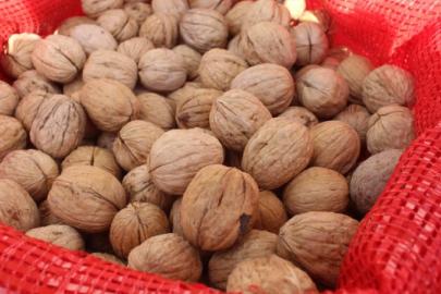 TİGEM 20 ton mahsul ceviz satacak