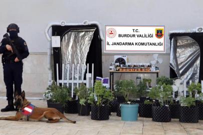 Uyuşturucu operasyonuna 1 tutuklama