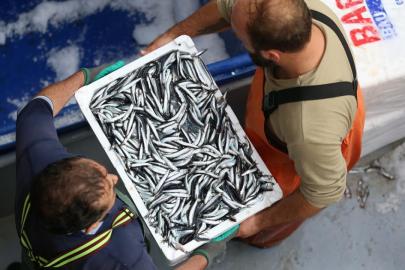 Balıkçılar av sezonunu kapatıyor