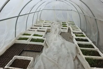 Kayseri Büyükşehir'in Doğal Ürünler Pazarı'nda geri sayım