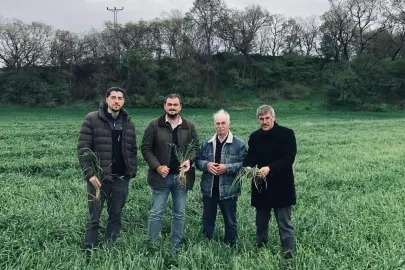 Keşan'da yağışlar verimi artırdı, hastalık riskini büyüttü