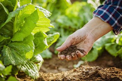 Kırsal kalkınma projelerine hibe desteği