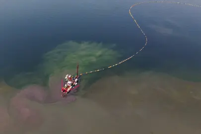 Kocaeli’nin çevre projesi deniz canlılarını canlandırdı