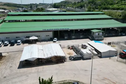 Kurban Bayramı öncesi İzmit’te alanlar tahsis ediliyor