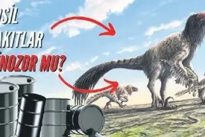 Petrolde büyük dinozor yalanı