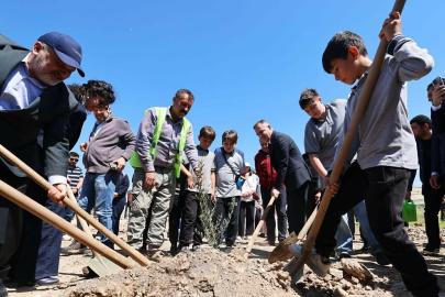 Taşınan her zeytin ağacı için yeni bir fidan: Milas'ta 4 bin fidan toprakla buluştu