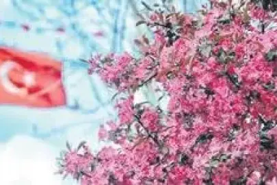 Ülkeme gerçekten bahar geldi