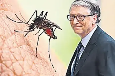 Yeni felaket senaryosu