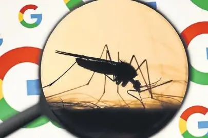 Google neden 32 milyon sivrisinek üretti?