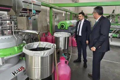 Manisa'da zeytin üreticisi isyanda
